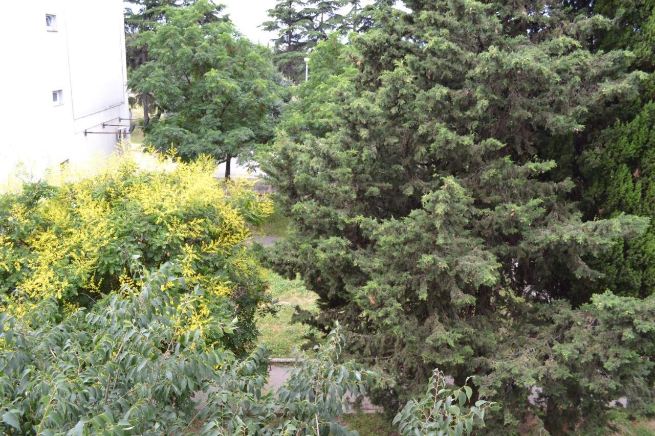 Good Vibes Apartment Zadar Eksteriør bilde